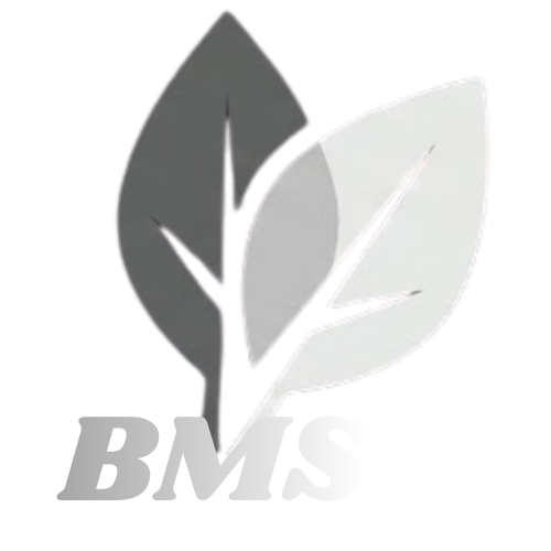 Logo BMS